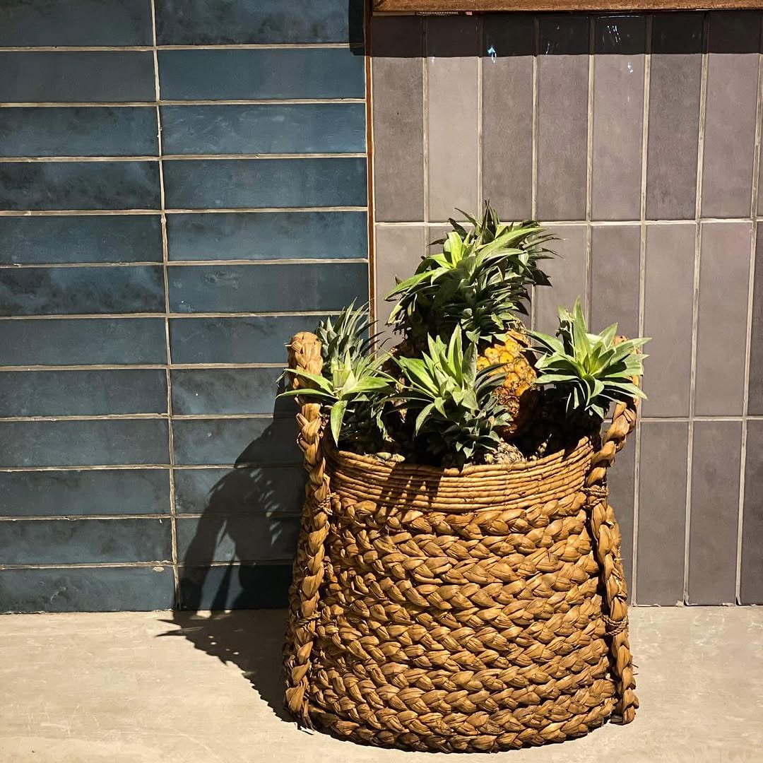 PIÑA night garden aerial view